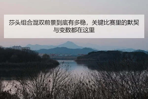 莎头组合混双前景到底有多稳，关键比赛里的默契与变数都在这里